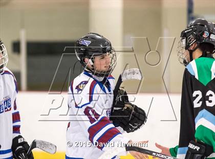 Thumbnail 2 in Fermi/Enfield/East Granby @ Farmington/Avon/Windsor photogallery.