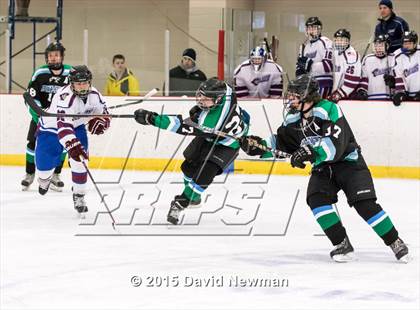 Thumbnail 3 in Fermi/Enfield/East Granby @ Farmington/Avon/Windsor photogallery.