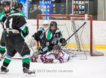 Thumbnail 2 in Fermi/Enfield/East Granby @ Farmington/Avon/Windsor photogallery.