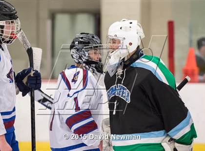 Thumbnail 3 in Fermi/Enfield/East Granby @ Farmington/Avon/Windsor photogallery.
