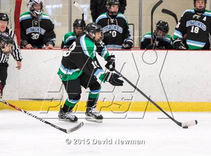 Thumbnail 2 in Fermi/Enfield/East Granby @ Farmington/Avon/Windsor photogallery.