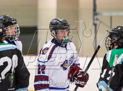 Thumbnail 3 in Fermi/Enfield/East Granby @ Farmington/Avon/Windsor photogallery.