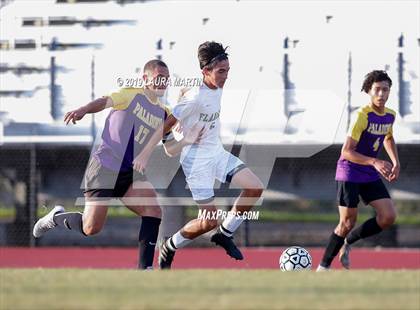 Thumbnail 2 in Flanagan @ South Plantation photogallery.