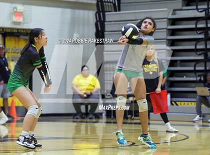 Thumbnail 1 in Newman Smith @ Crandall (Crandall Tournament) photogallery.