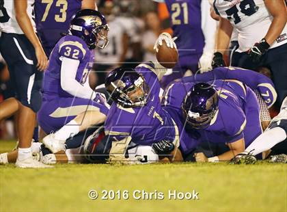 Thumbnail 1 in Sahuaro @ Sabino photogallery.
