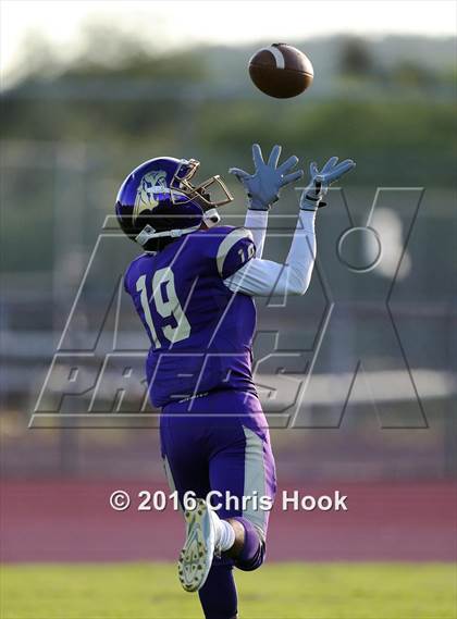 Thumbnail 1 in Sahuaro @ Sabino photogallery.