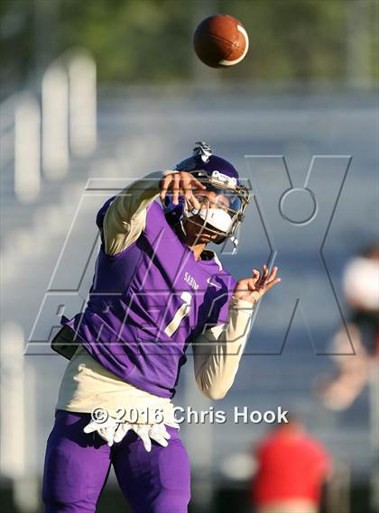 Thumbnail 1 in Sahuaro @ Sabino photogallery.