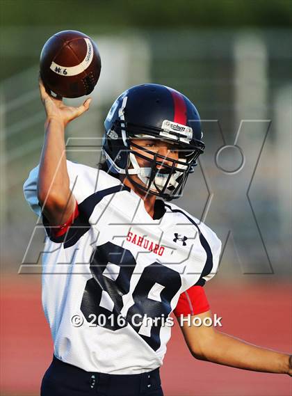Thumbnail 2 in Sahuaro @ Sabino photogallery.