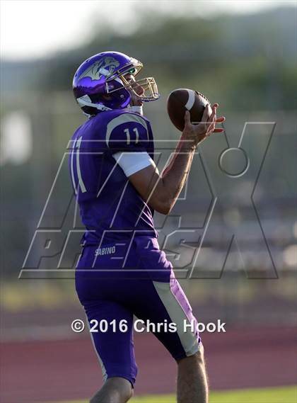 Thumbnail 2 in Sahuaro @ Sabino photogallery.