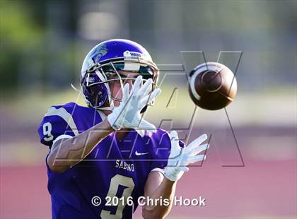 Thumbnail 3 in Sahuaro @ Sabino photogallery.