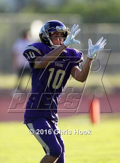 Thumbnail 1 in Sahuaro @ Sabino photogallery.