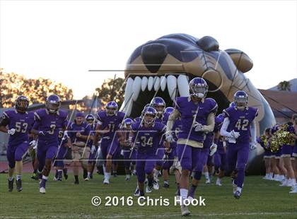 Thumbnail 2 in Sahuaro @ Sabino photogallery.