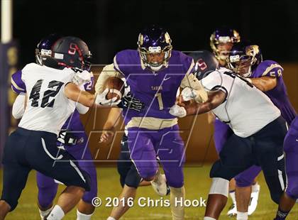 Thumbnail 2 in Sahuaro @ Sabino photogallery.
