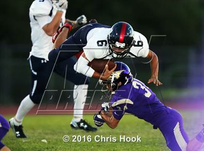 Thumbnail 2 in Sahuaro @ Sabino photogallery.