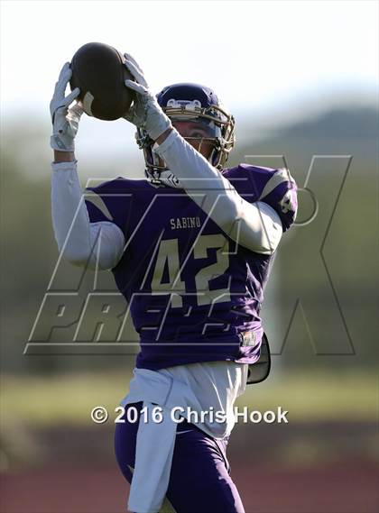 Thumbnail 1 in Sahuaro @ Sabino photogallery.