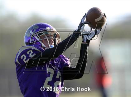 Thumbnail 1 in Sahuaro @ Sabino photogallery.