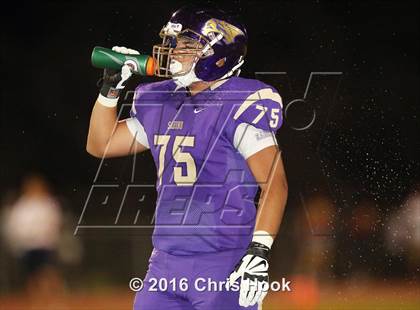 Thumbnail 1 in Sahuaro @ Sabino photogallery.