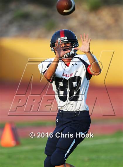 Thumbnail 1 in Sahuaro @ Sabino photogallery.