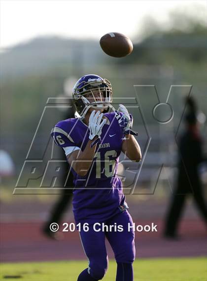 Thumbnail 2 in Sahuaro @ Sabino photogallery.