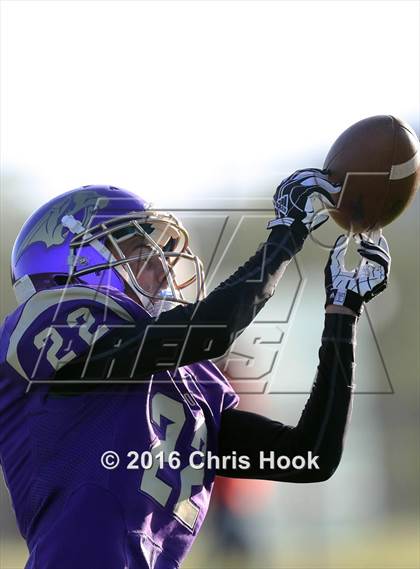 Thumbnail 2 in Sahuaro @ Sabino photogallery.