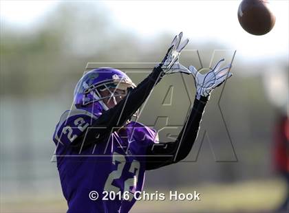 Thumbnail 3 in Sahuaro @ Sabino photogallery.