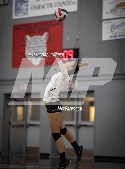 Thumbnail 1 in Chico @ Foothill photogallery.
