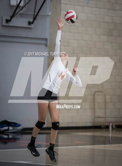 Thumbnail 3 in Chico @ Foothill photogallery.