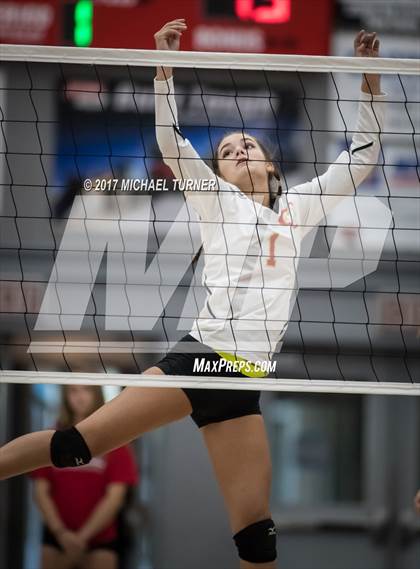 Thumbnail 1 in Chico @ Foothill photogallery.