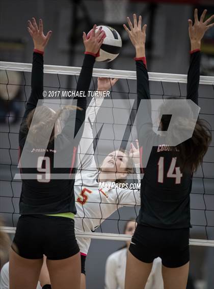 Thumbnail 2 in Chico @ Foothill photogallery.