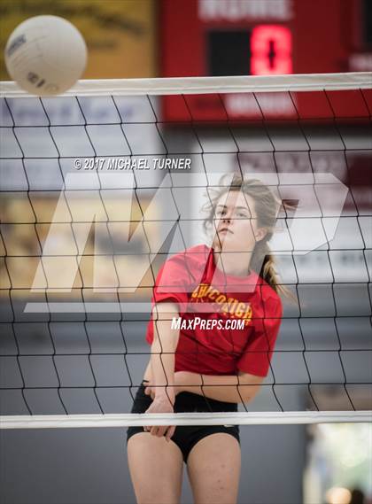 Thumbnail 1 in Chico @ Foothill photogallery.