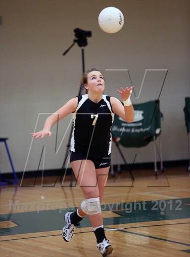 null - Photo 01
