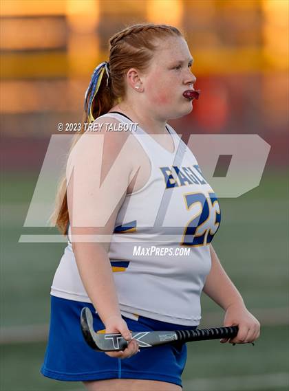 Thumbnail 1 in Webster Thomas @ Irondequoit photogallery.