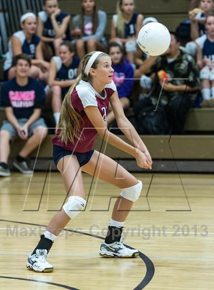 Thumbnail 3 in Palm Harbor University @ East Lake photogallery.