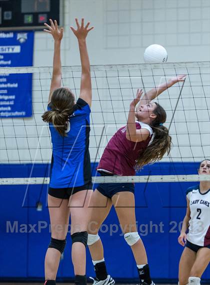 Thumbnail 3 in Palm Harbor University @ East Lake photogallery.