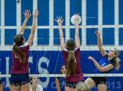 Thumbnail 3 in Palm Harbor University @ East Lake photogallery.