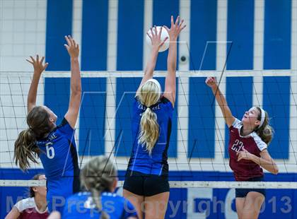 Thumbnail 3 in Palm Harbor University @ East Lake photogallery.
