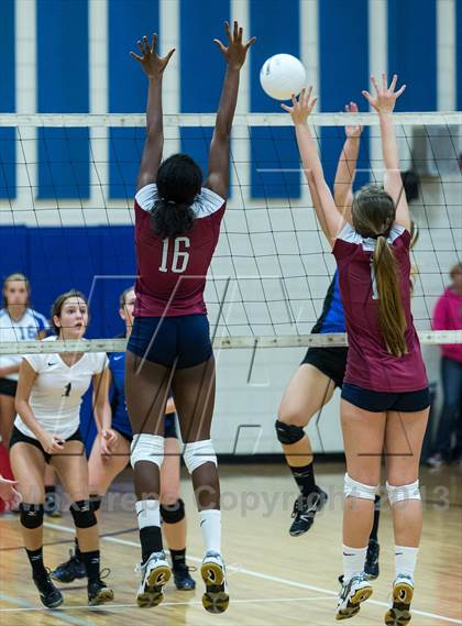 Thumbnail 3 in Palm Harbor University @ East Lake photogallery.
