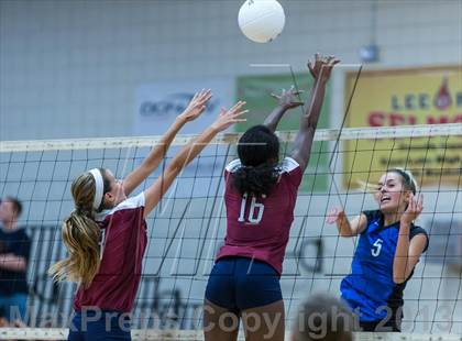 Thumbnail 2 in Palm Harbor University @ East Lake photogallery.