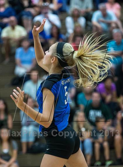 Thumbnail 1 in Palm Harbor University @ East Lake photogallery.