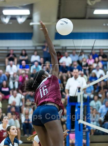 Thumbnail 3 in Palm Harbor University @ East Lake photogallery.