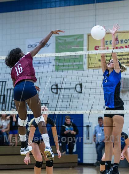 Thumbnail 2 in Palm Harbor University @ East Lake photogallery.