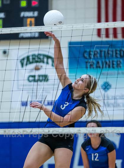 Thumbnail 1 in Palm Harbor University @ East Lake photogallery.