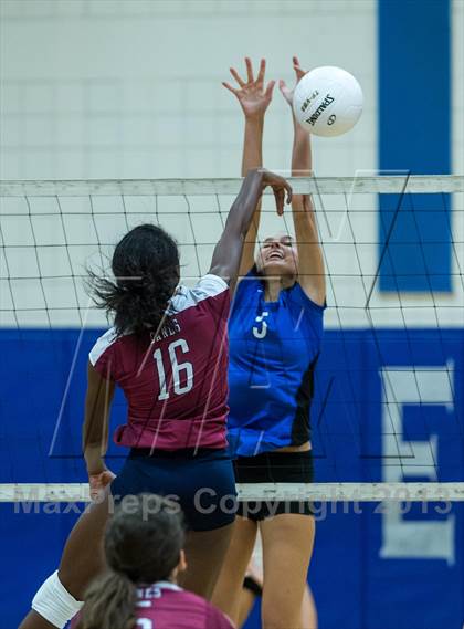 Thumbnail 1 in Palm Harbor University @ East Lake photogallery.