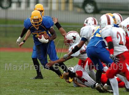 Thumbnail 3 in Jamestown @ Lockport photogallery.