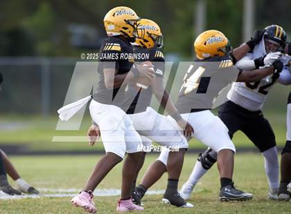 Thumbnail 3 in Merritt Island @ Ed White photogallery.