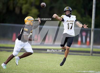 Thumbnail 3 in Merritt Island @ Ed White photogallery.