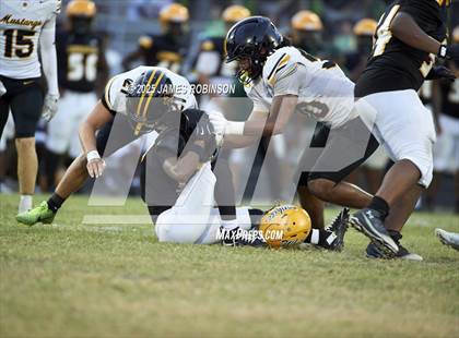 Thumbnail 3 in Merritt Island @ Ed White photogallery.