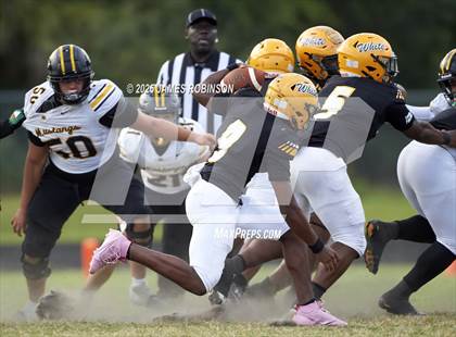 Thumbnail 3 in Merritt Island @ Ed White photogallery.