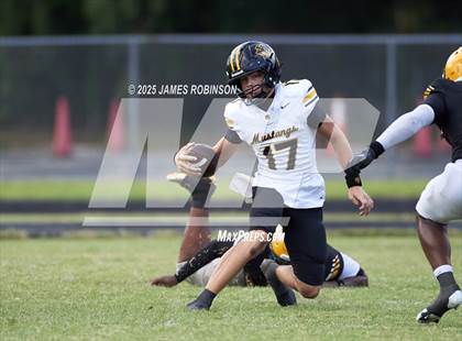 Thumbnail 3 in Merritt Island @ Ed White photogallery.