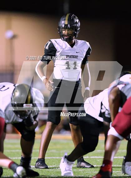 Thumbnail 2 in Sprayberry @ Lassiter photogallery.
